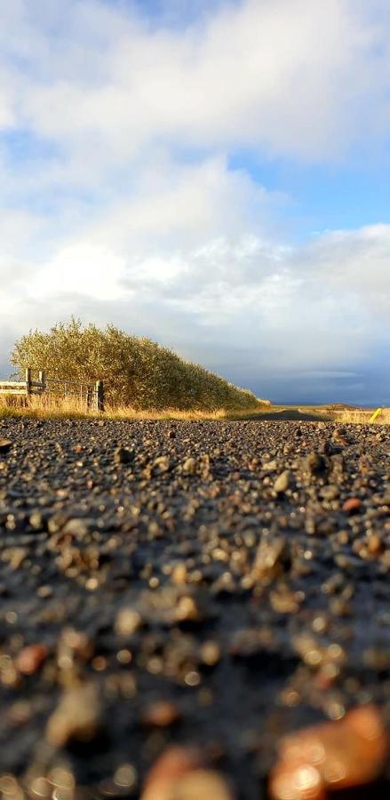 Guesthouse Didi Flagbjarnarholt エクステリア 写真